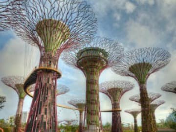 Gardens by the Bay 2 Domes Plus Free FunVee 2 Hours