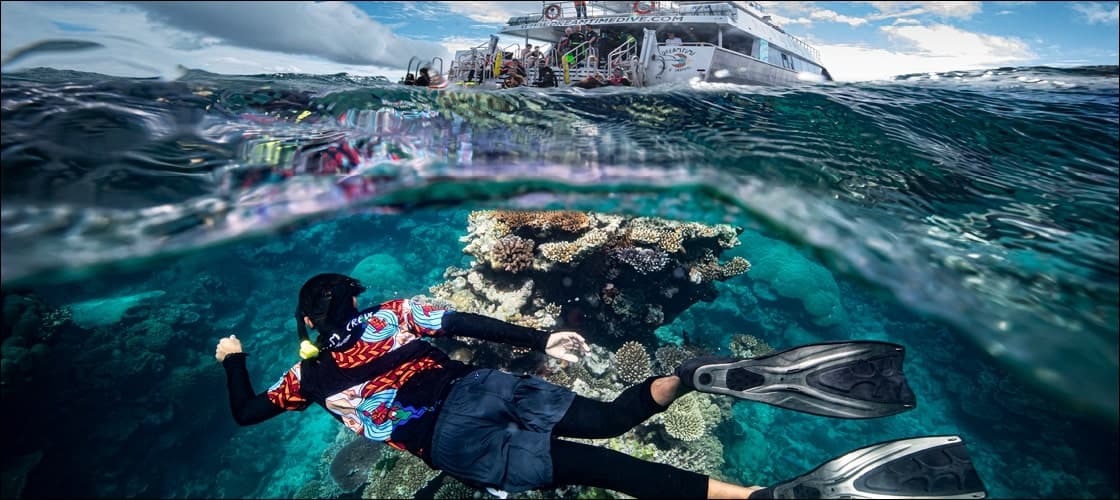Dreamtime Dive from Reef Fleet Terminal