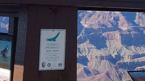 Excursão ao Grand Canyon saindo de Williams