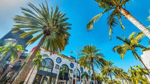 2-Hour Hollywood, West Hollywood and Beverly Hills Open Bus Tour Day Tours
