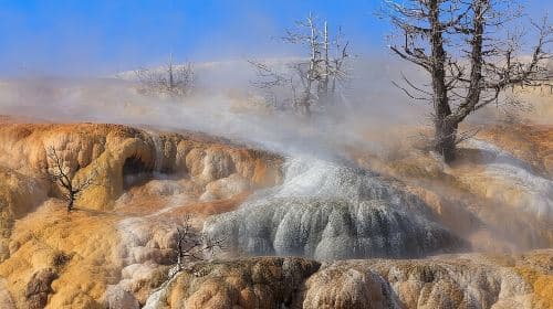 Best Of Yellowstone Full Day Nat'l Park Tour From Bozeman