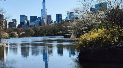 Tour guiado en bicitaxi por Central Park