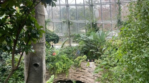 Houston Museum of Natural Science