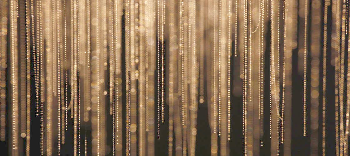 Waitomo Glowworm Caves Guided Tours