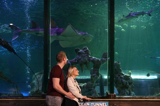 SEA LIFE Blackpool toegangstickets
