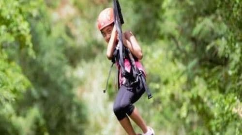 Honolulu Oahu Zipline & Dolphin Snorkeling Adventure Tour 166955