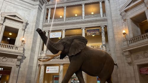 DC: Smithsonian Highlights Walking Tour with Air and Space