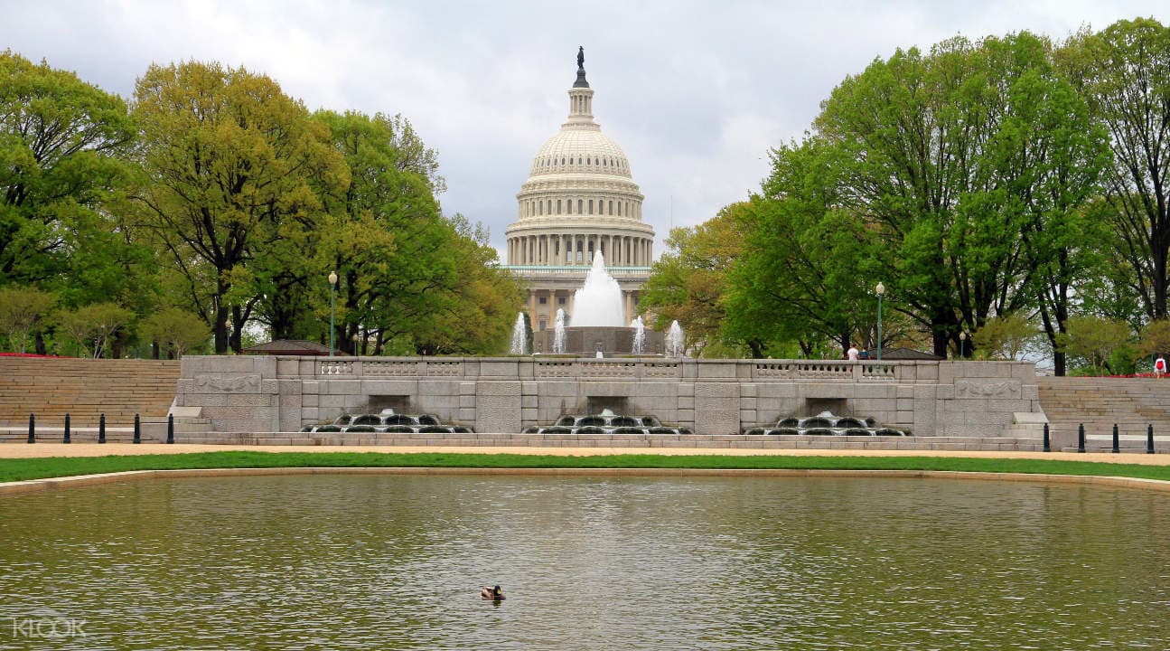 Washington DC Highlights Half Day Tour