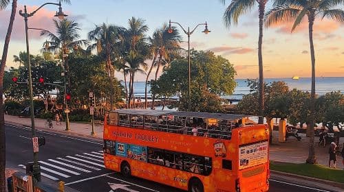 Waikiki Trolley Hop-On Hop-Off Tour of Honolulu Day Tours