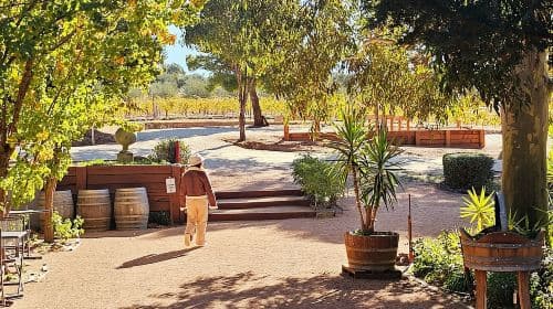 Melbourne: Murray River Paddle Steamer, Wine & Wildlife Tour