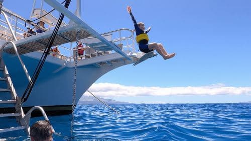 Molokini and Turtle Town Snorkel Adventure aboard Pride of Maui