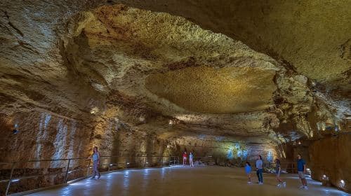 San Antonio: Natural Bridge Caverns Hidden Wonders Tour Dagtochten
