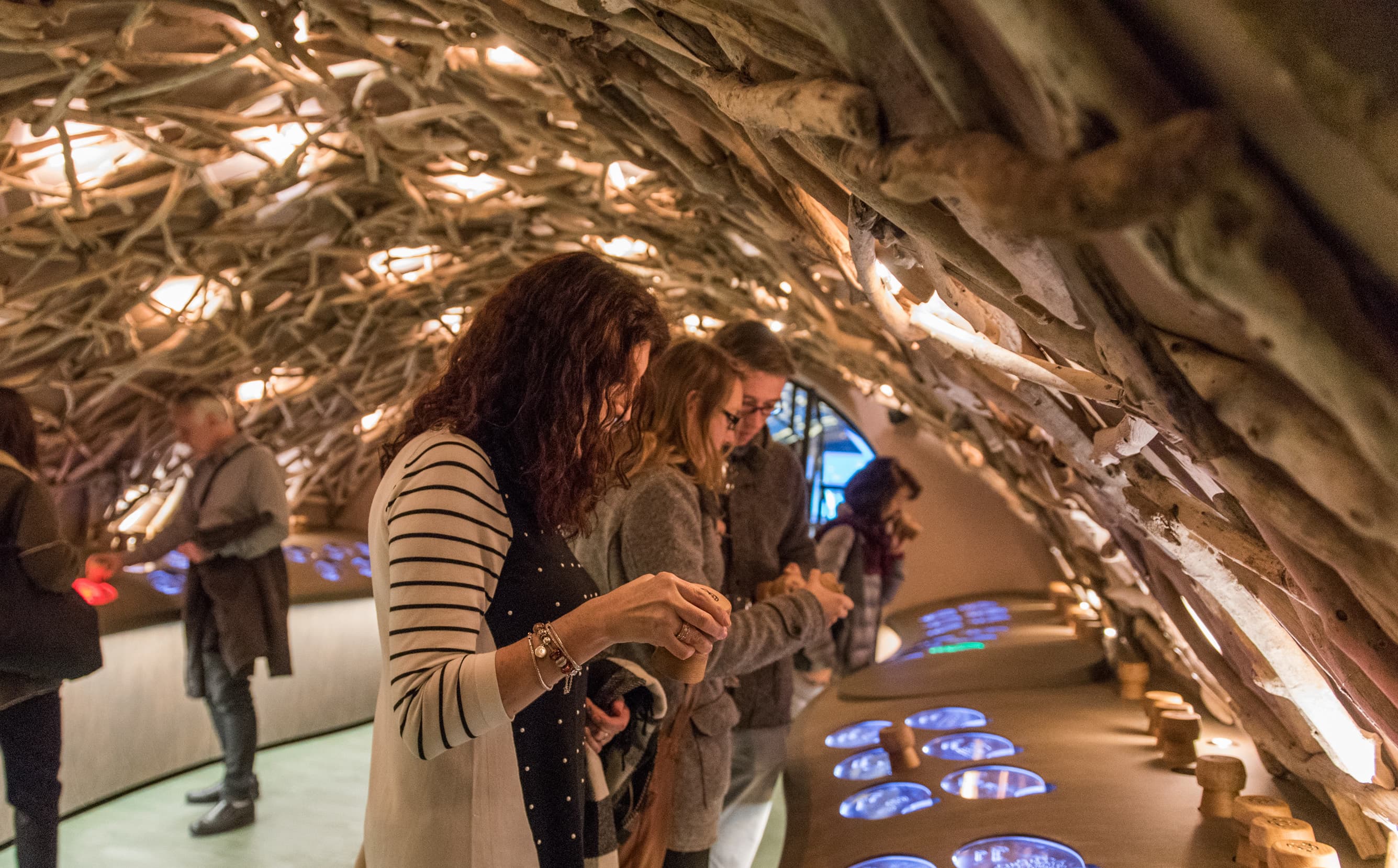 Caves du Louvre: French Wine Experience