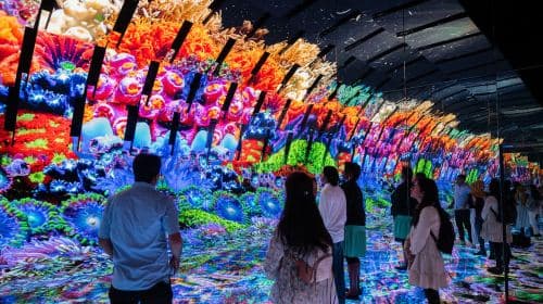 Chicago: Griffin Museum of Science and Industry Ticket Day Tours