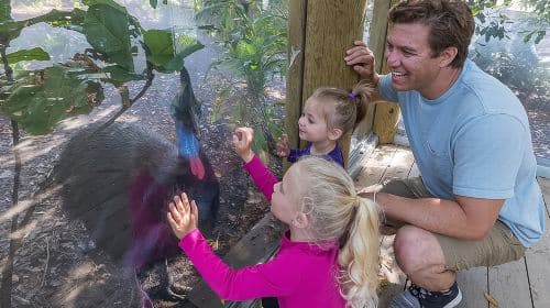 Bilet jednodniowy do San Diego Zoo Safari Park: Wycieczki dzienne z dowolnym terminem