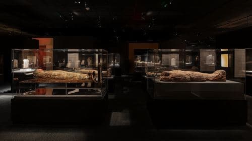 Houston Museum of Natural Science General Admission Day Tours