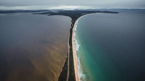 Discover Bruny Island in Tasmania, Australia [Includes city transfers/Tasmania's must-visit spots] Day Tours