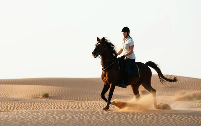 Horse Desert Park Ride