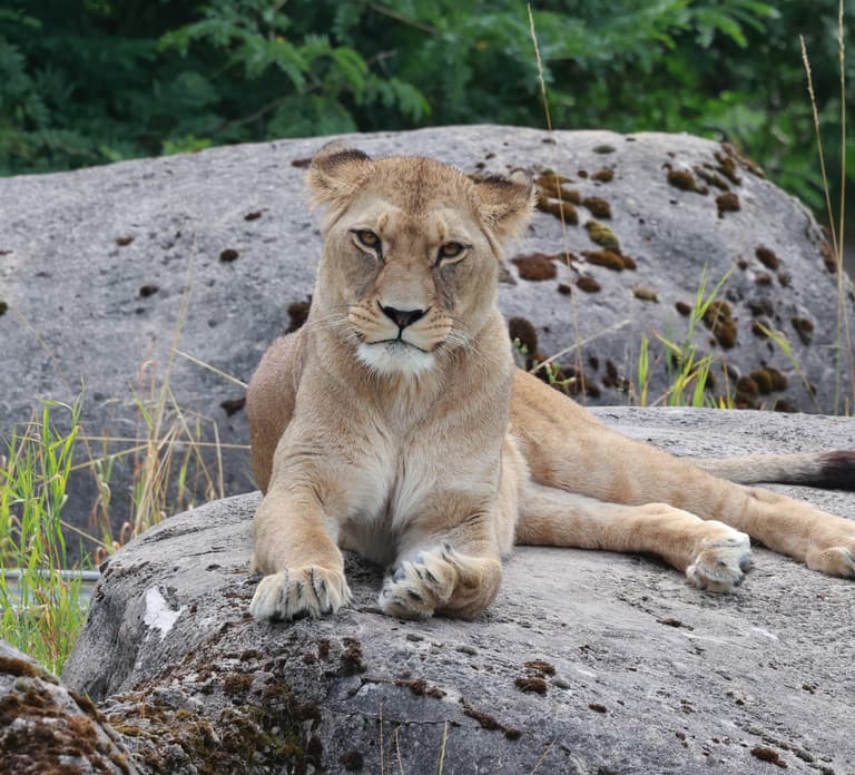 Wuppertal: Admission to the Green Zoo Wuppertal