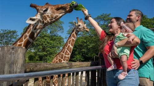 Zoo Miami