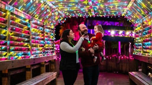 ZooTampa: Christmas in the Wild