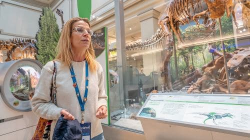 Smithsonian Highlights Walking Tour w/ Reserved Air & Space Entry