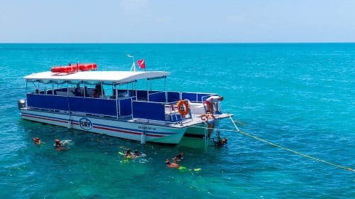 Key West Dolphin Watch and Snorkel Tour - Eco Adventure