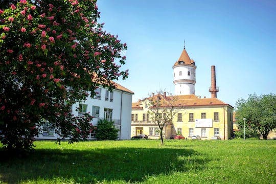 Historical Tour of The Psychiatric Hospital and its Abandoned Cemetery