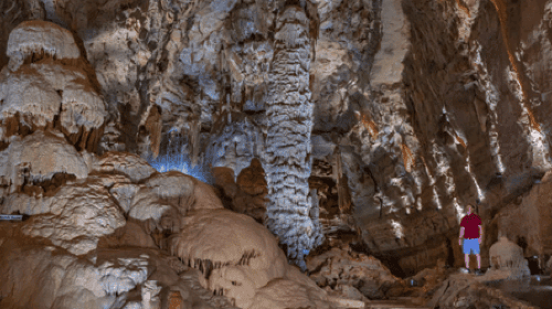 San Antonio: Discovery Tour bij Natural Bridge Caverns dagtochten