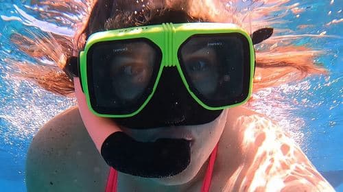 Avventura di Snorkeling e Vela sulla Barriera Corallina di Key West