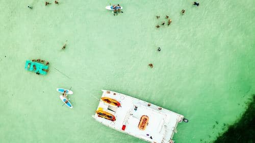 All-Inclusive Sandbar Safari com Dolphin Playground Encounter - Passeios de um dia
