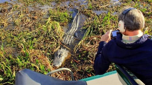 Florida Everglades Airboat Tour and Wild Florida Admission with Optional Lunch Day Tours