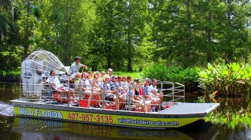 Wild Florida: Roundtrip Transfer from Orlando Day Tours