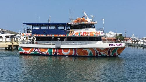 Tour giornaliero Miami Sunset and City Lights Cocktail Cruise