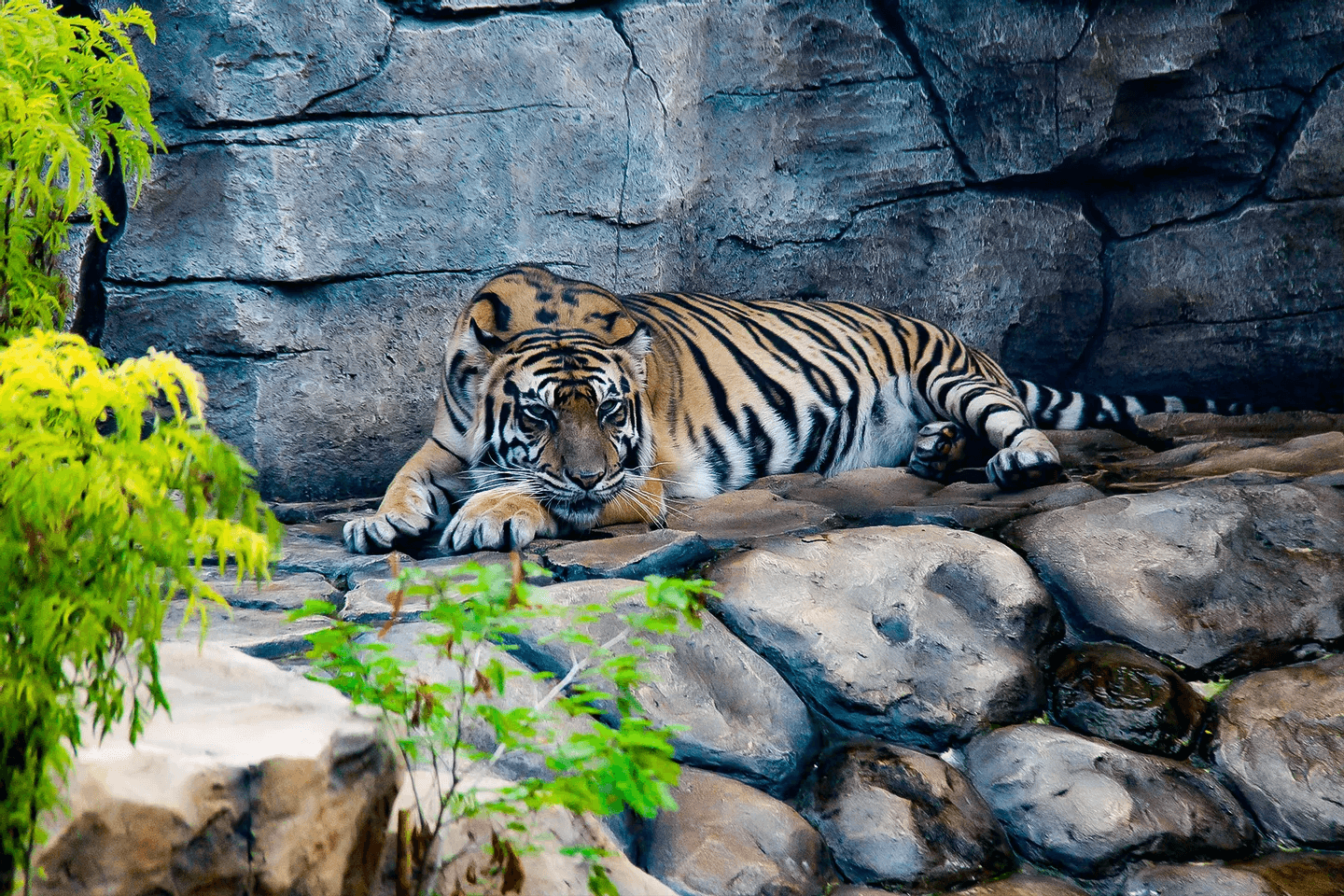Gembira Loka Zoo Yogyakarta