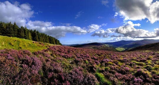 Dagtocht naar Glendalough, Wicklow en Kilkenny vanuit Dublin