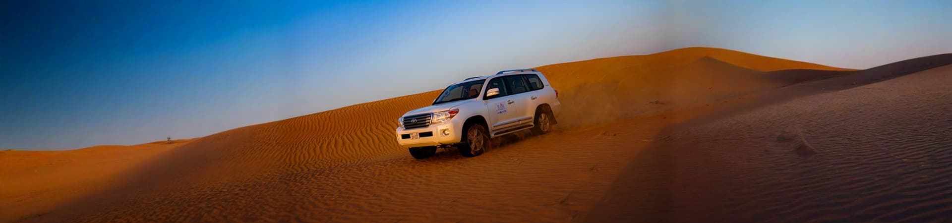 Desert Safari