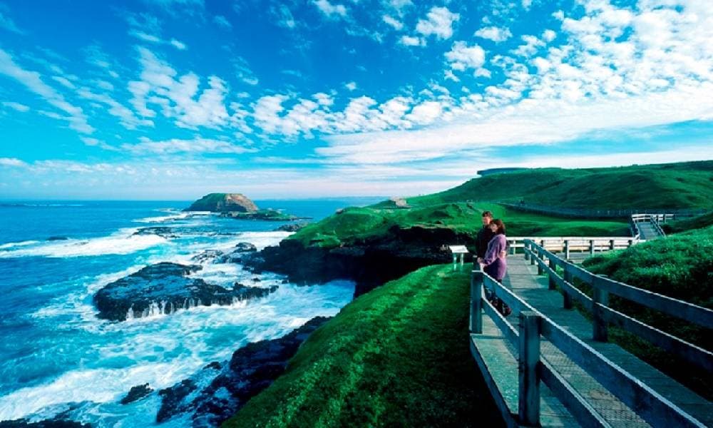 Phillip Island Penguin Parade Express Tour