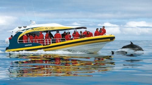 3-hour wilderness cruise on Tasmanian Bruny Island [optional departure from Hobart] Day Tours