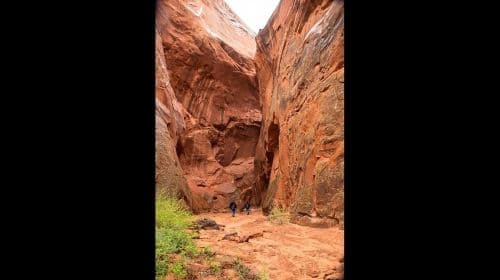 Page : Randonnées guidées à Rams Head Canyon