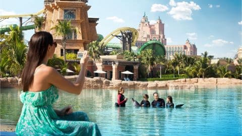 Atlantis Dolphin Meet & Greet Experience