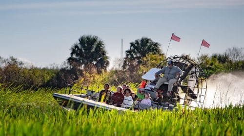 From Orlando: Swamp Airboat Ride and Gatorland Entry Day Tours