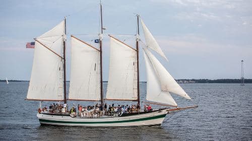 Charleston: Schooner Sailing Experience & Dolphin Watch Day Tours