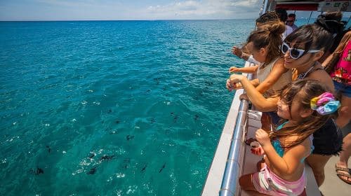 Croisières en bateau à fond de verre à Waikiki Beach