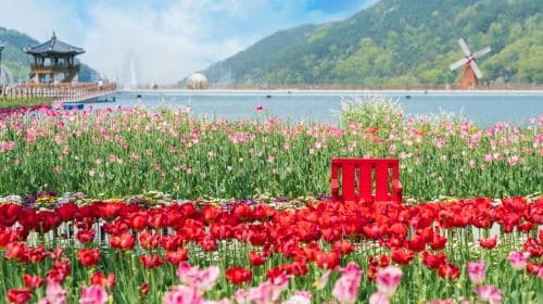 Daegu|Songhae Park X Mt. Palgongsan Cable Car X SEALIFE Busan Aquarium X Beach Train *Departing from Busan Day Tours