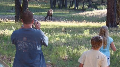 Safari fuoristrada al tramonto di 3 ore al Grand Canyon con deviazione al cancello d'ingresso Day Tours