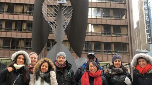 Chicago Loop: Tour giornaliero tra arte, grattacieli, Millennium Park e "The Bean"