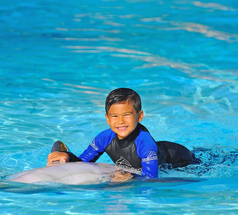 Algarve Zoomarine Ticket and Dolphin Emotions Experience