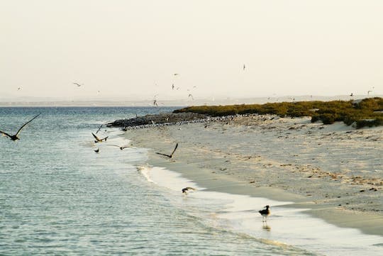 Hamata Snorkeling Cruise from Marsa Alam with Lunch and Drinks