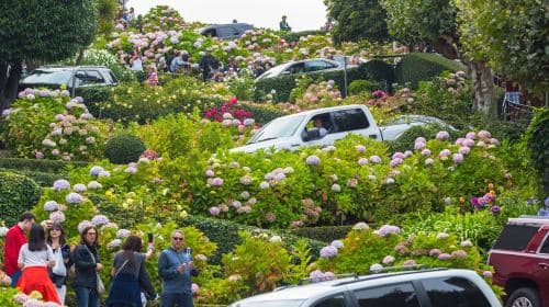 San Francisco Ultimate City Tour with Bay Cruise Option Day Tours